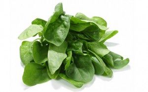 Spinach_2337460b