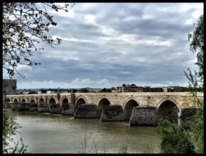 teresa mesquita bridge