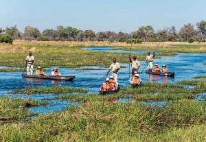 Mokoru in the Okavango Delta