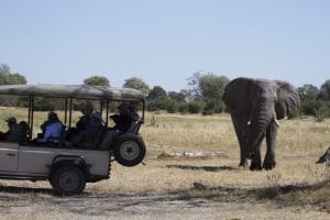 Land Rover with ellie-Tom Schwab