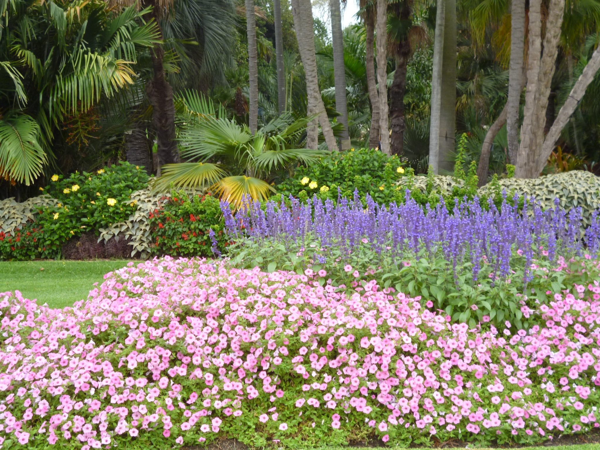 SydneyRoyal Botanical Garden -Linda Ballou