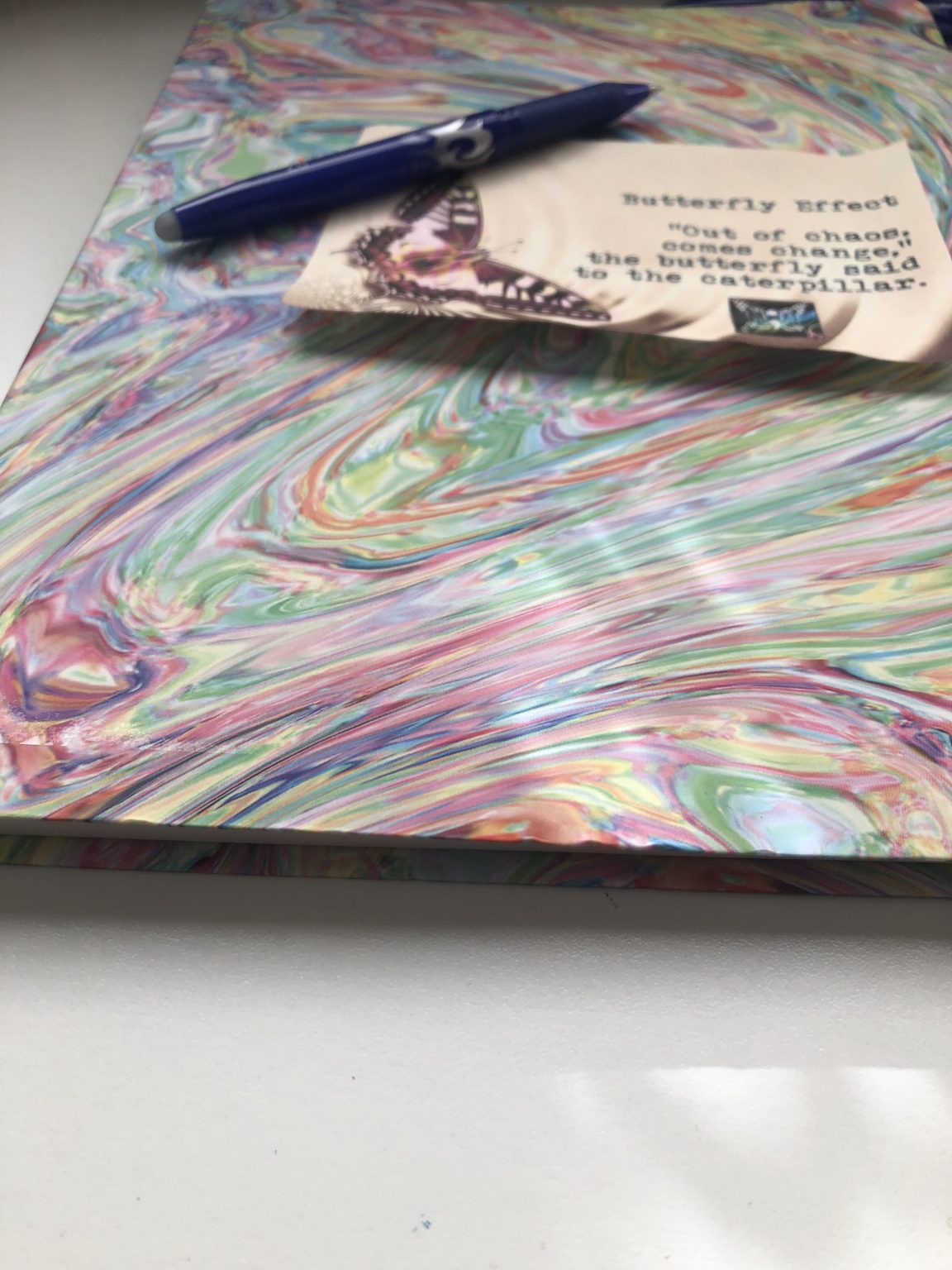 In Which Trina Clarifies the Difference Between Journals vs. Diaries