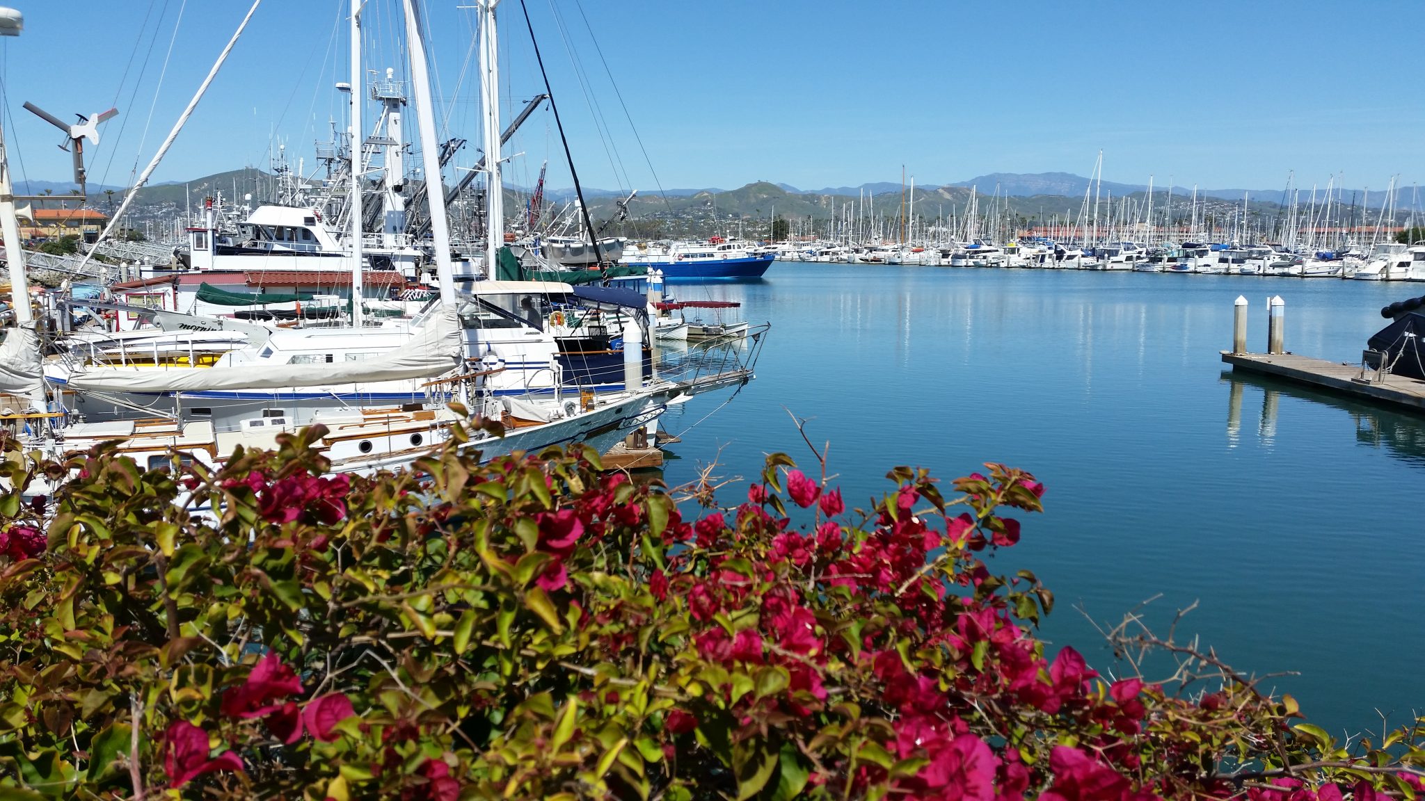 Best Ventura Harbor