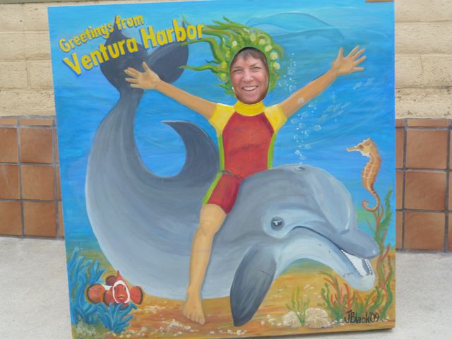 Linda swims with dolphin