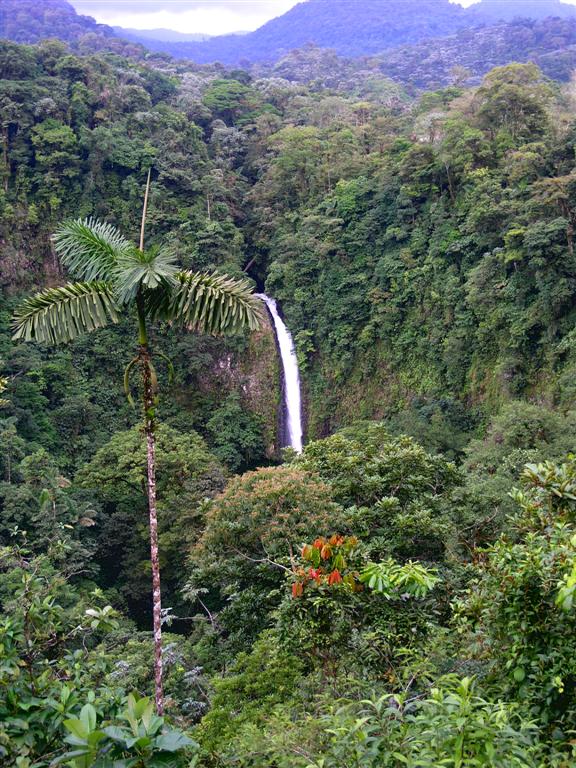 Waterfall in Arenal region (Large)Micke Grayford
